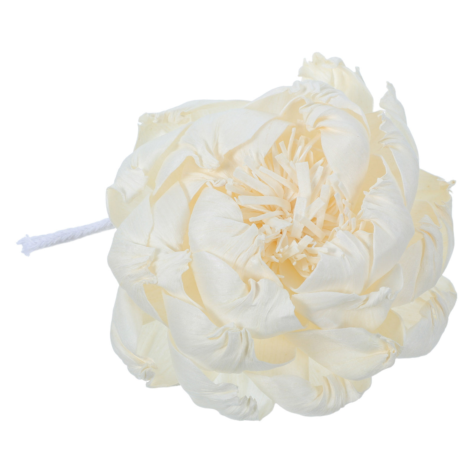 เครื่องกระจายกลิ่นหอมดอกโบตั๋น - Home Fragrance Flowers บทวิจารณ์และราคา